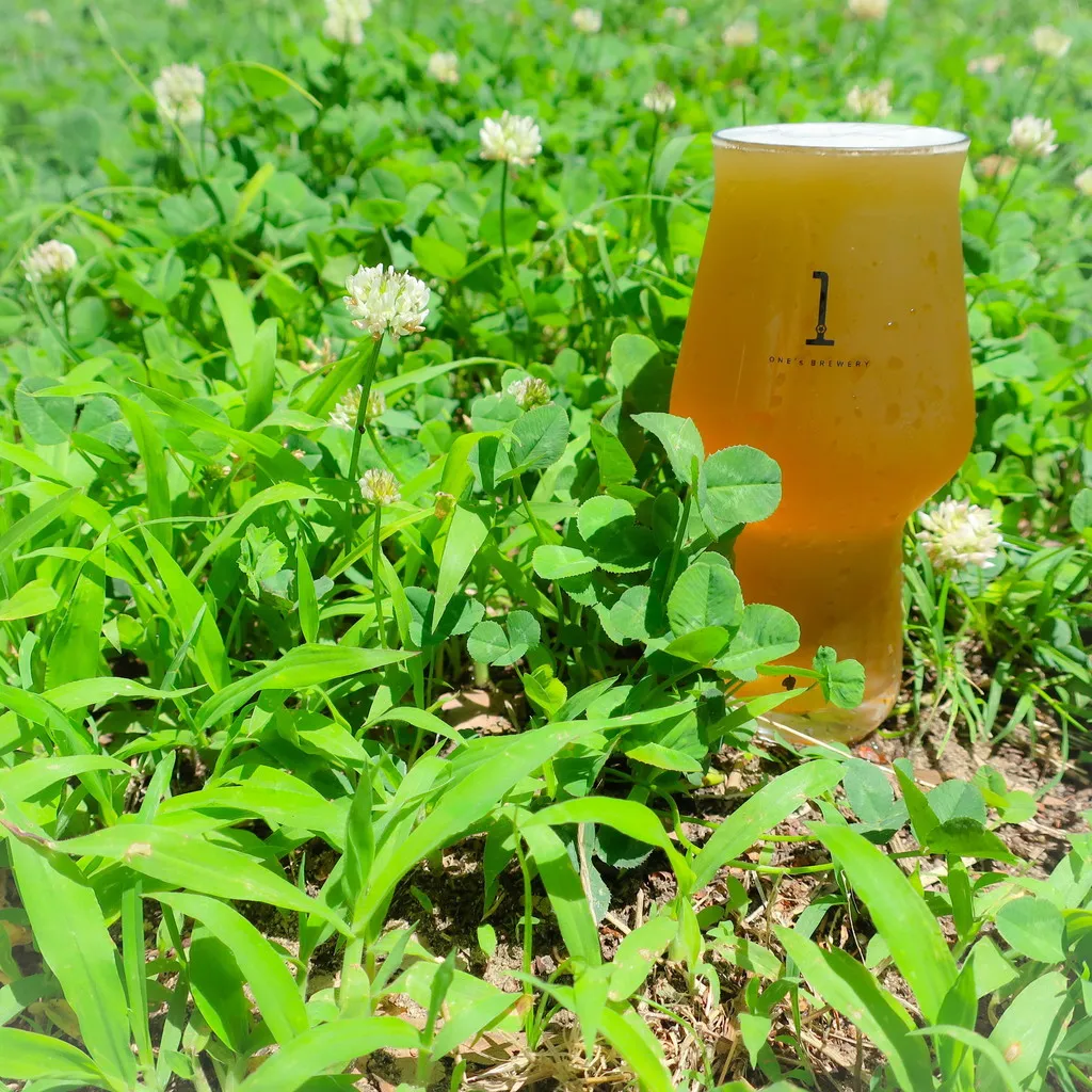 ONE's 定番3種 8本セット - 画像 (4)